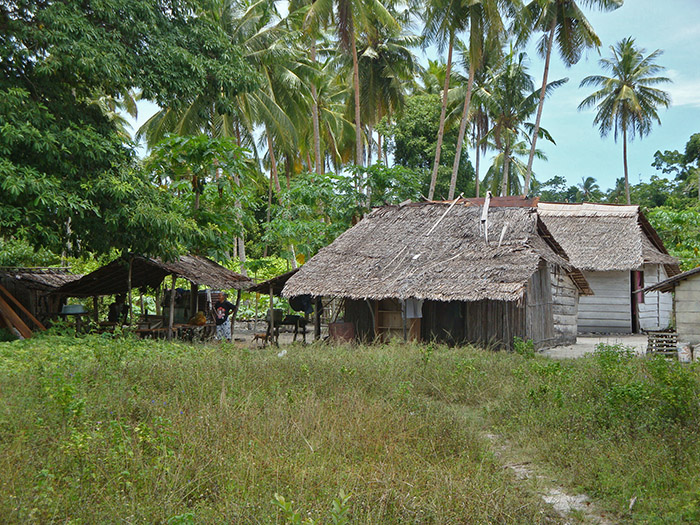 Huis op Hulaliu